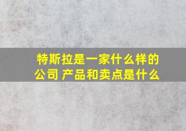 特斯拉是一家什么样的公司 产品和卖点是什么